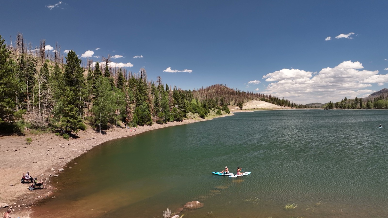 Paddleboarding